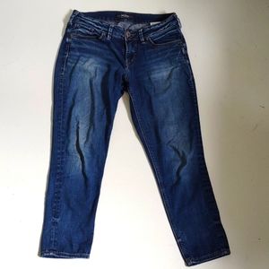 Silver skinny crop jeans capris W28 / L25 [C2]